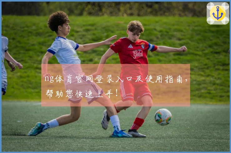 ng体育官网登录入口及使用指南，帮助您快速上手！