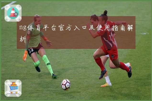ng体育平台官方入口及使用指南解析