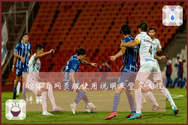 ng体育网页版使用说明及登录流程详解