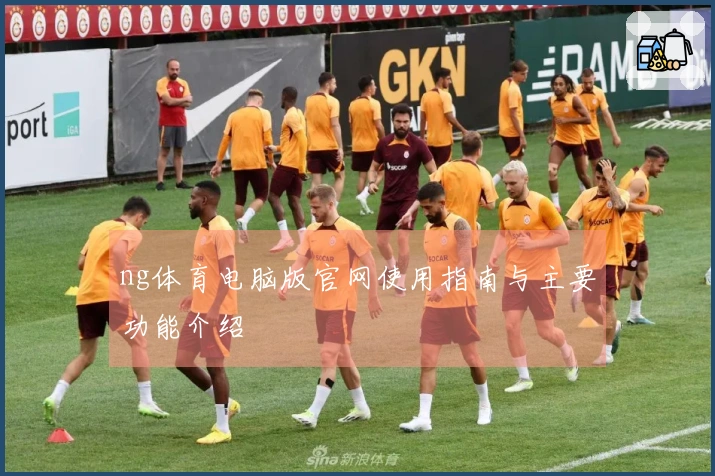 ng体育电脑版官网使用指南与主要功能介绍